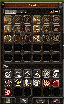 Sage Master Skill Sistemi